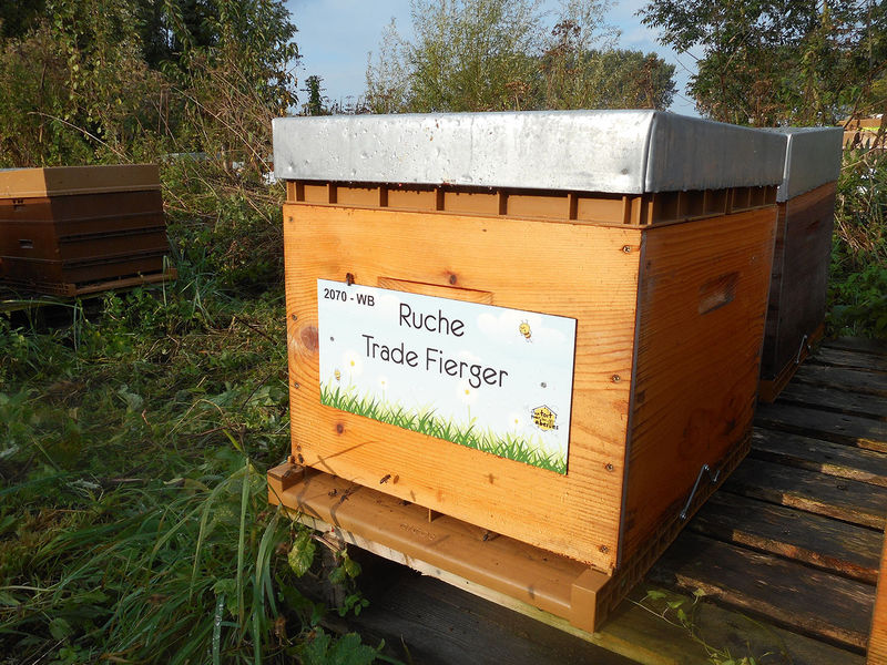 La ruche Trade Fierger